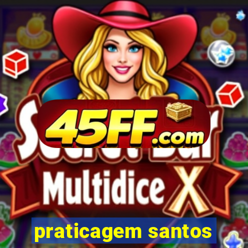 praticagem santos